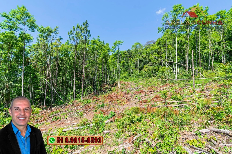 Sítio de 37.7 hectares à Venda em Três Coroas: 19ª foto da galeria de imagens do imóvel