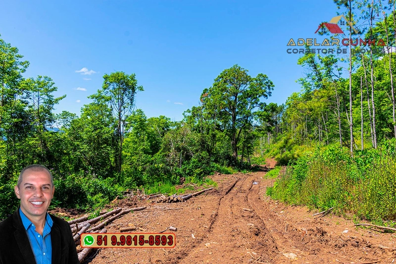 Sítio de 37.7 hectares à Venda em Três Coroas: 8ª foto da galeria de imagens do imóvel