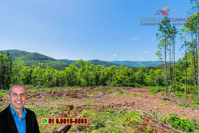 Sítio de 37.7 hectares à Venda em Três Coroas: 27ª foto da galeria de imagens do imóvel