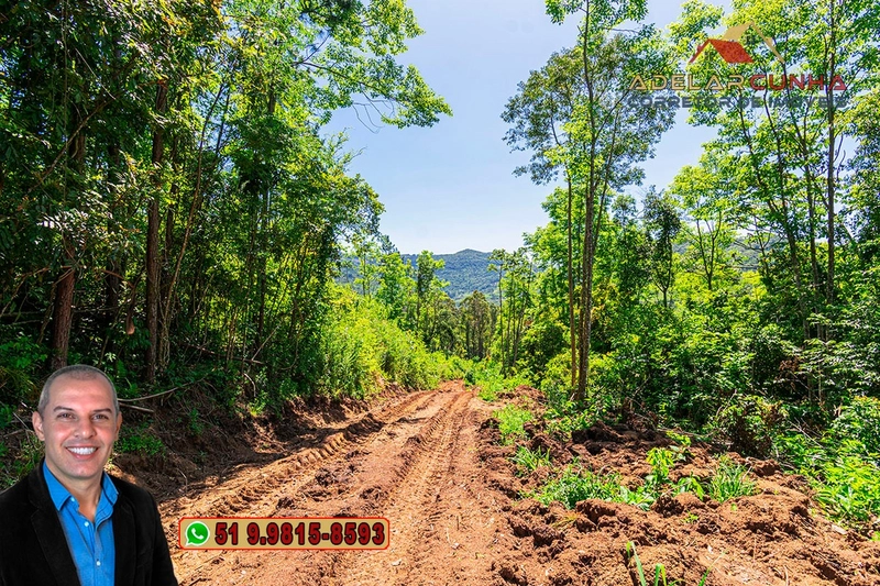 Sítio de 37.7 hectares à Venda em Três Coroas: 25ª foto da galeria de imagens do imóvel