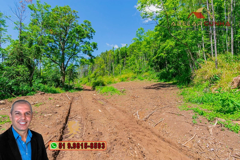 Sítio de 37.7 hectares à Venda em Três Coroas: 9ª foto da galeria de imagens do imóvel