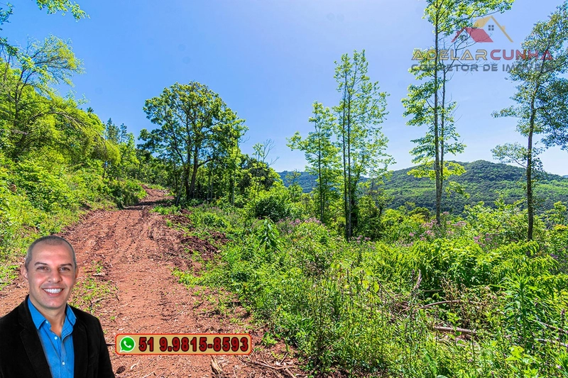 Sítio de 37.7 hectares à Venda em Três Coroas: 23ª foto da galeria de imagens do imóvel