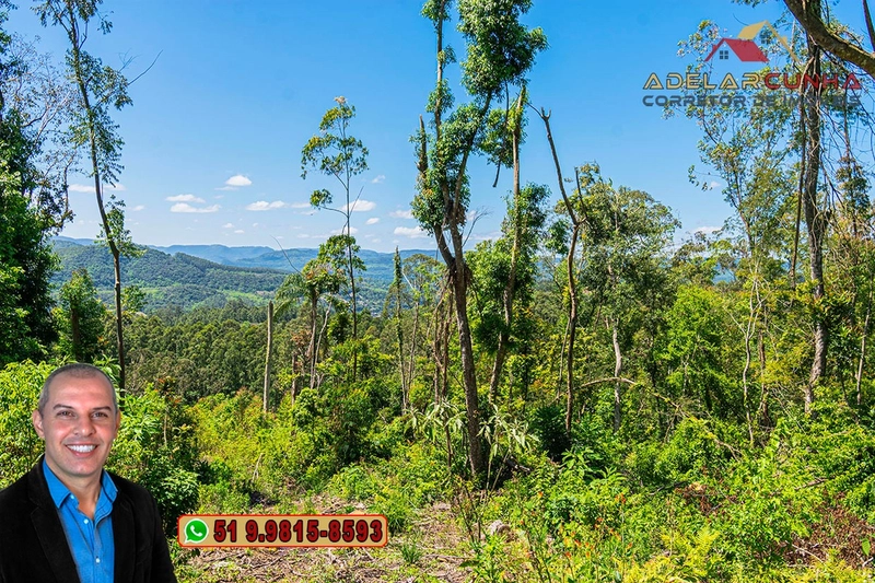 Sítio de 37.7 hectares à Venda em Três Coroas: 21ª foto da galeria de imagens do imóvel