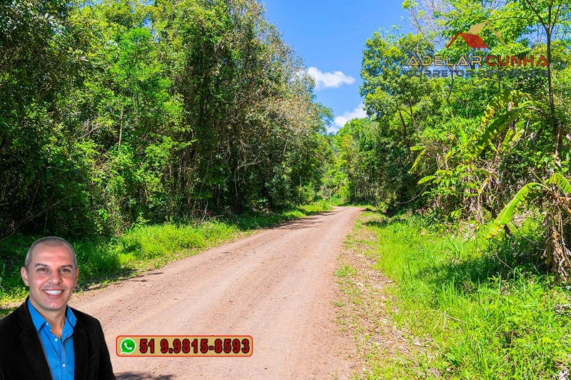 Sítio de 37.7 hectares à Venda em Três Coroas: 11ª foto da galeria de imagens do imóvel