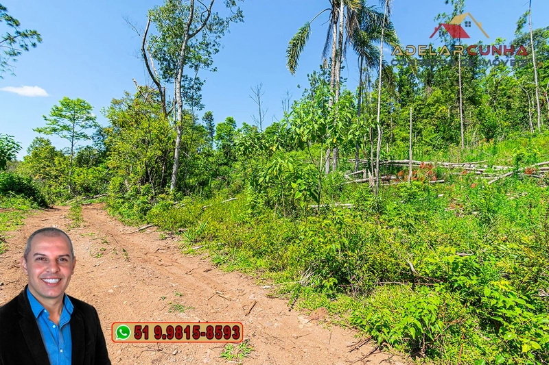 Sítio de 37.7 hectares à Venda em Três Coroas: 5ª foto da galeria de imagens do imóvel