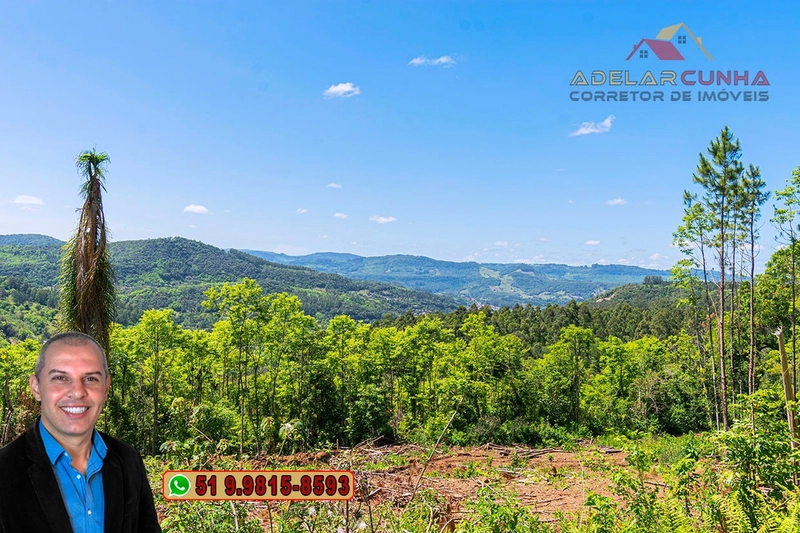 Sítio de 37.7 hectares à Venda em Três Coroas: 17ª foto da galeria de imagens do imóvel