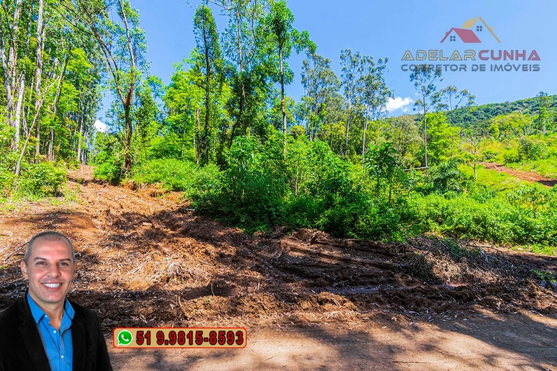 Sítio de 37.7 hectares à Venda em Três Coroas: 26ª foto da galeria de imagens do imóvel