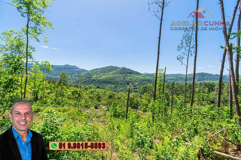 Sítio de 37.7 hectares à Venda em Três Coroas: 3ª foto da galeria de imagens do imóvel