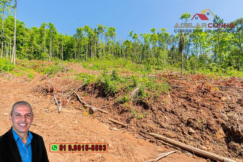 Sítio de 37.7 hectares à Venda em Três Coroas: 7ª foto da galeria de imagens do imóvel