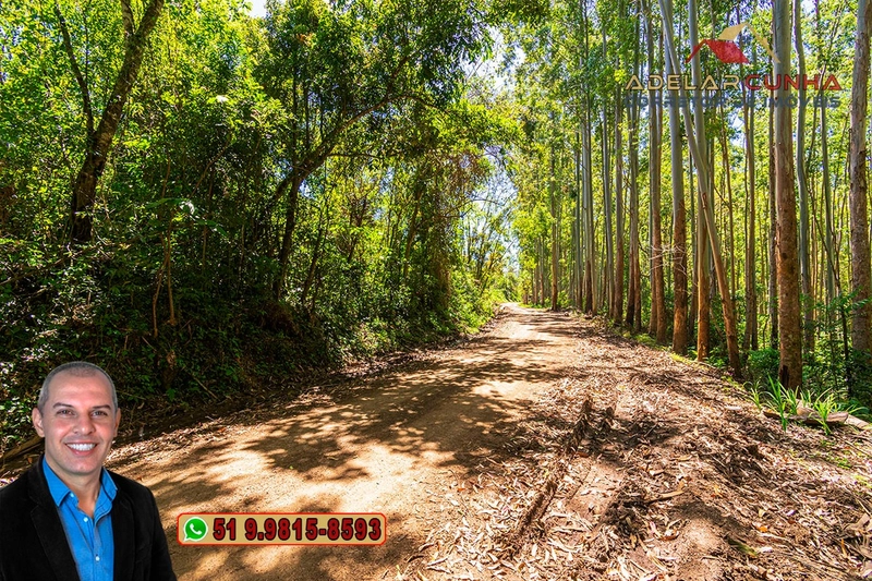 Sítio de 37.7 hectares à Venda em Três Coroas: 13ª foto da galeria de imagens do imóvel