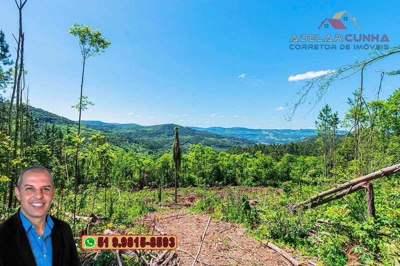 Sítio de 37.7 hectares à Venda em Três Coroas: 18ª foto da galeria de imagens do imóvel