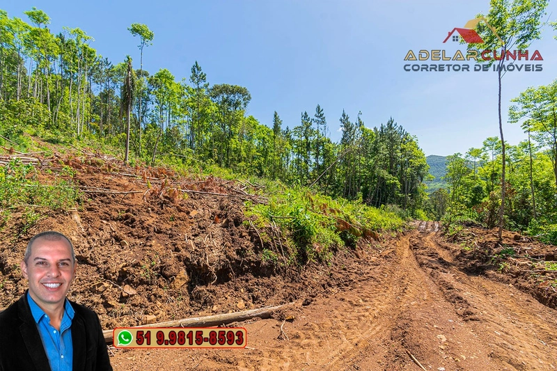 Sítio de 37.7 hectares à Venda em Três Coroas: 6ª foto da galeria de imagens do imóvel