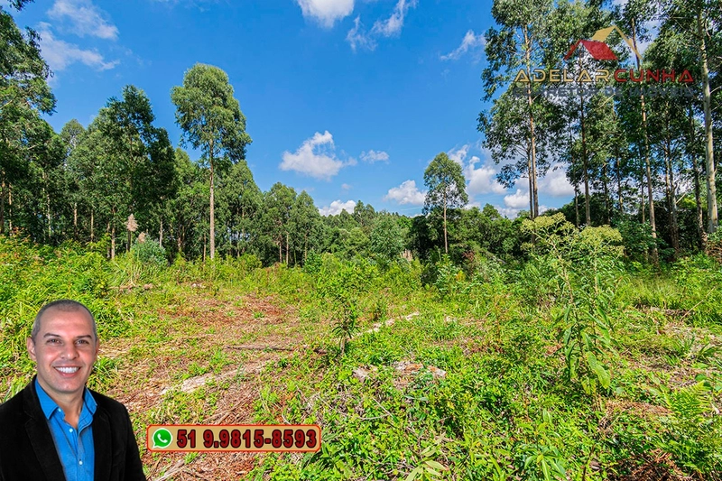 Sítio de 6 hectares à VENDA em Serra Grande - RS: 3ª foto da galeria de imagens do imóvel