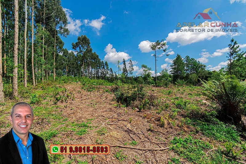 Sítio de 6 hectares à VENDA em Serra Grande - RS: 15ª foto da galeria de imagens do imóvel