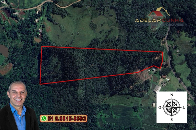 Sítio de 6 hectares à VENDA em Serra Grande - RS: 4ª foto da galeria de imagens do imóvel