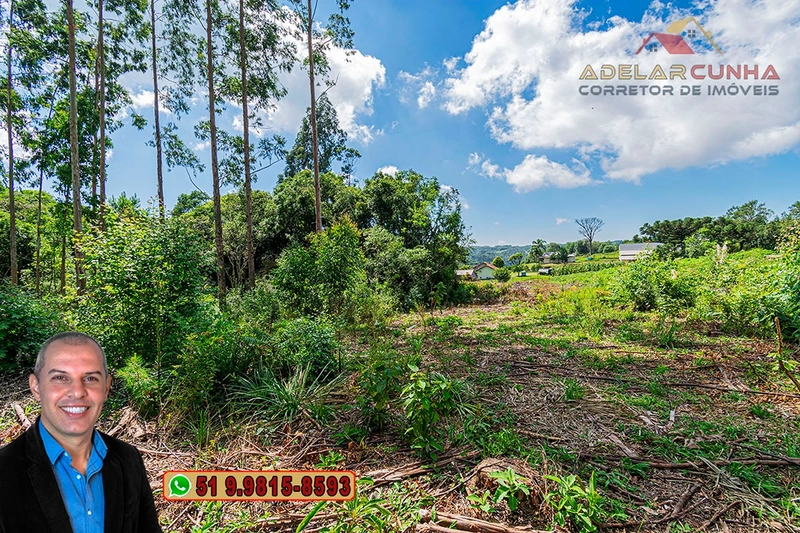 Sítio de 6 hectares à VENDA em Serra Grande - RS: 8ª foto da galeria de imagens do imóvel