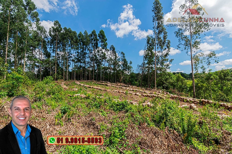 Sítio de 6 hectares à VENDA em Serra Grande - RS: 24ª foto da galeria de imagens do imóvel