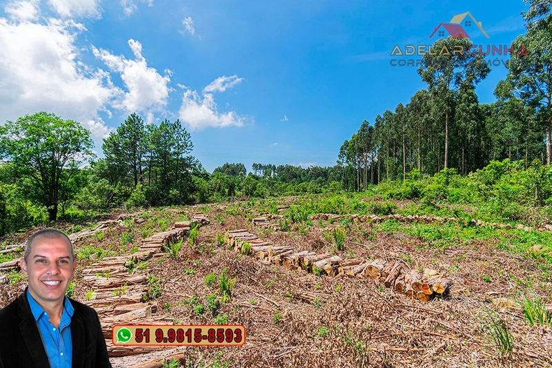 Sítio de 6 hectares à VENDA em Serra Grande - RS: 26ª foto da galeria de imagens do imóvel