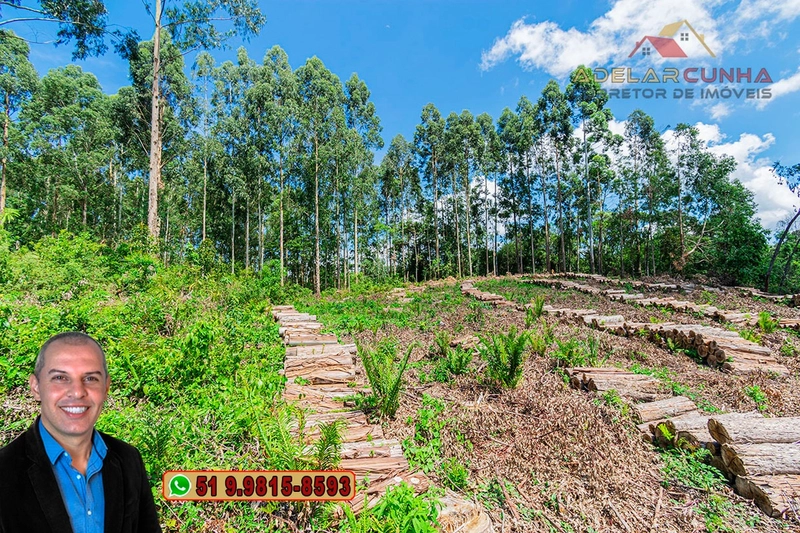 Sítio de 6 hectares à VENDA em Serra Grande - RS: 22ª foto da galeria de imagens do imóvel