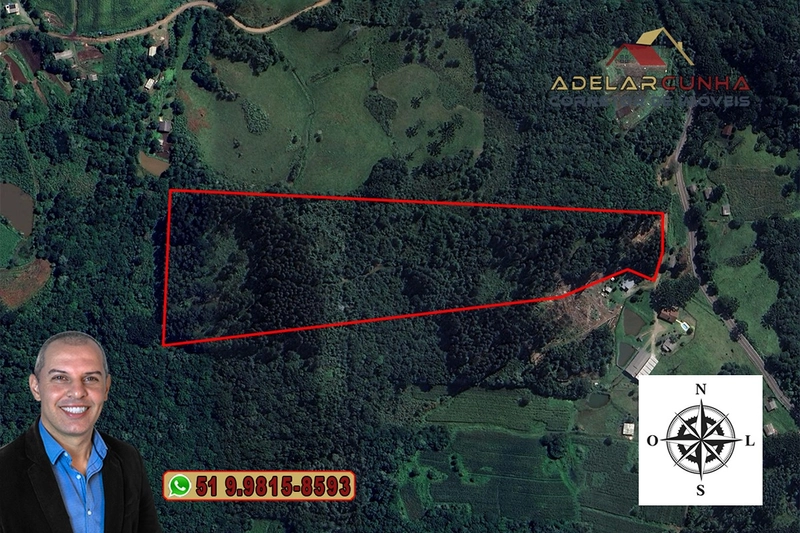 Sítio de 6 hectares à VENDA em Serra Grande - RS: 28ª foto da galeria de imagens do imóvel