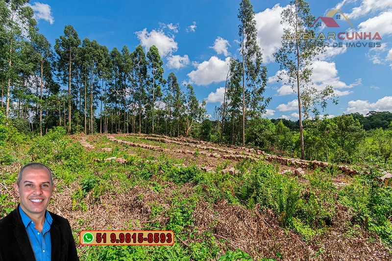 Sítio de 6 hectares à VENDA em Serra Grande - RS: 21ª foto da galeria de imagens do imóvel