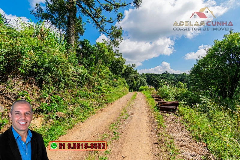 Sítio de 6 hectares à VENDA em Serra Grande - RS: 28ª foto da galeria de imagens do imóvel