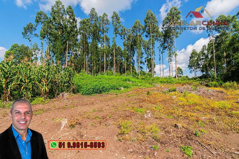 Sítio de 6 hectares à VENDA em Serra Grande - RS: 2ª foto da galeria de imagens do imóvel