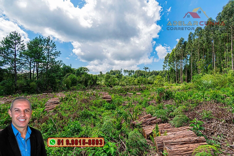 Sítio de 6 hectares à VENDA em Serra Grande - RS: 16ª foto da galeria de imagens do imóvel