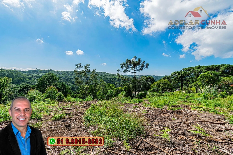 Sítio de 6 hectares à VENDA em Serra Grande - RS: 2ª foto da galeria de imagens do imóvel