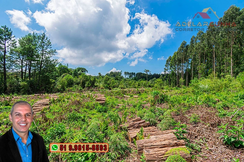Sítio de 6 hectares à VENDA em Serra Grande - RS: 27ª foto da galeria de imagens do imóvel