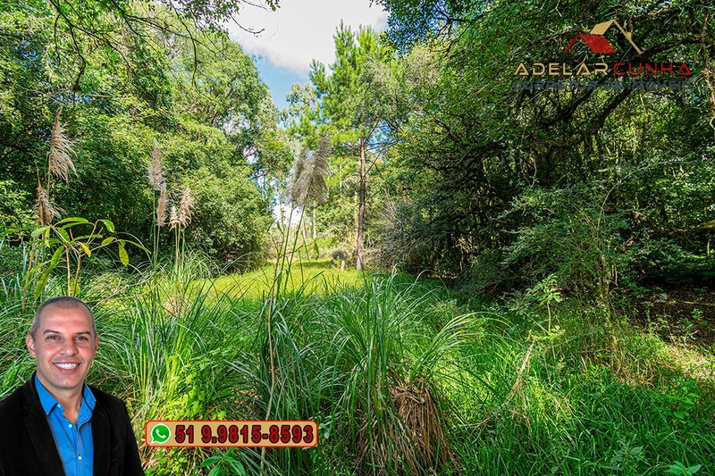 Sítio de 6 hectares à VENDA em Serra Grande - RS: 4ª foto da galeria de imagens do imóvel