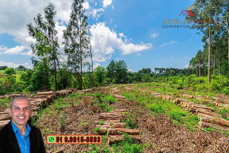 Sítio de 6 hectares à VENDA em Serra Grande - RS: 25ª foto da galeria de imagens do imóvel