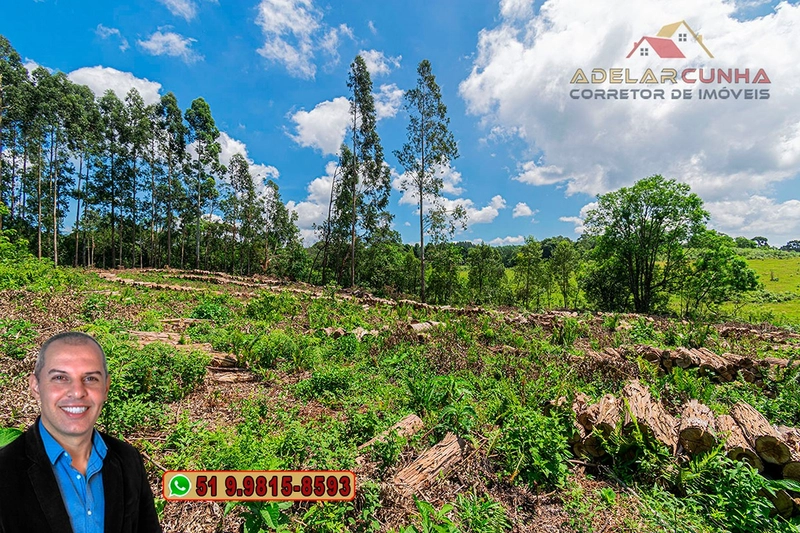Sítio de 6 hectares à VENDA em Serra Grande - RS: 23ª foto da galeria de imagens do imóvel