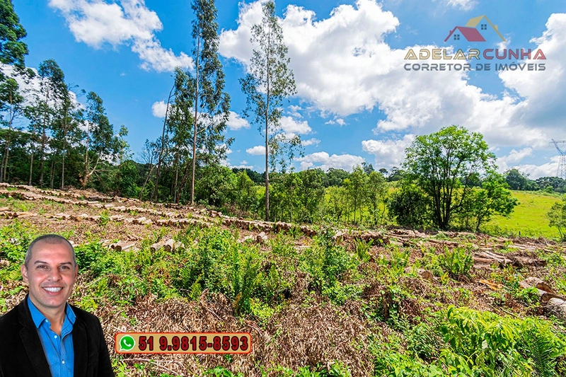 Sítio de 6 hectares à VENDA em Serra Grande - RS: 20ª foto da galeria de imagens do imóvel
