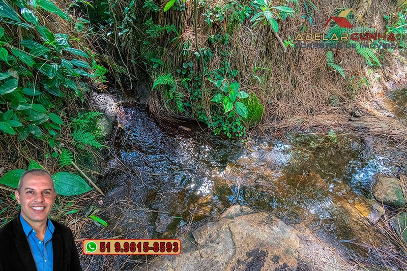 Sítio de 6 hectares à VENDA em Serra Grande - RS: 14ª foto da galeria de imagens do imóvel