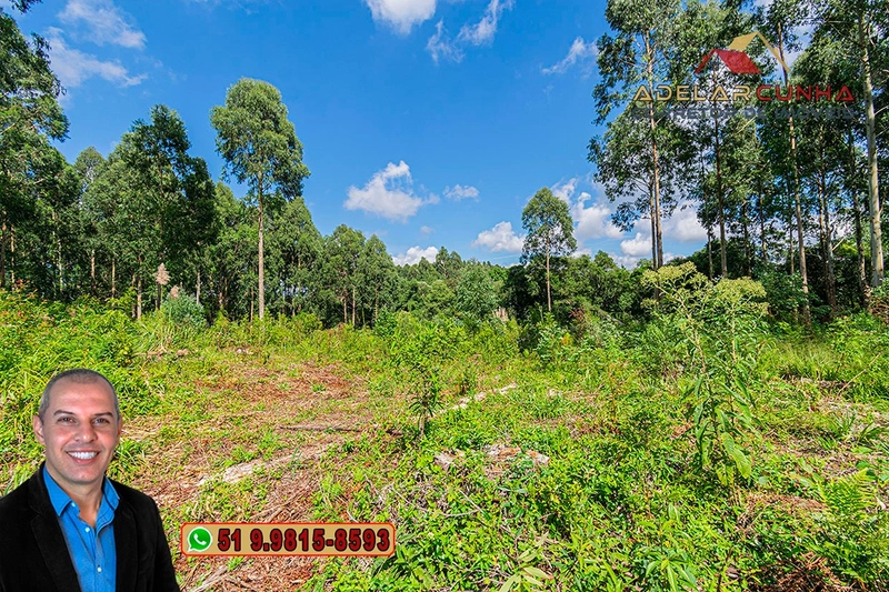 Sítio de 6 hectares à VENDA em Serra Grande - RS: 6ª foto da galeria de imagens do imóvel
