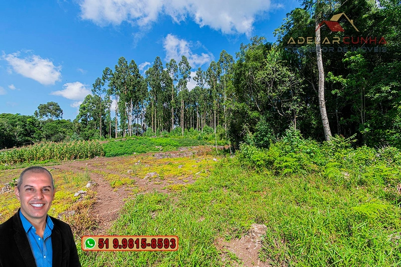 Sítio de 6 hectares à VENDA em Serra Grande - RS: 3ª foto da galeria de imagens do imóvel