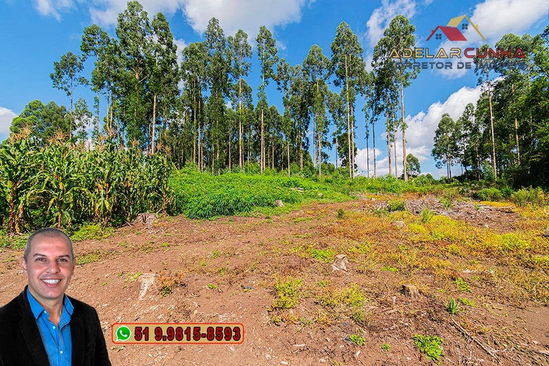 Sítio de 6 hectares à VENDA em Serra Grande - RS: 5ª foto da galeria de imagens do imóvel