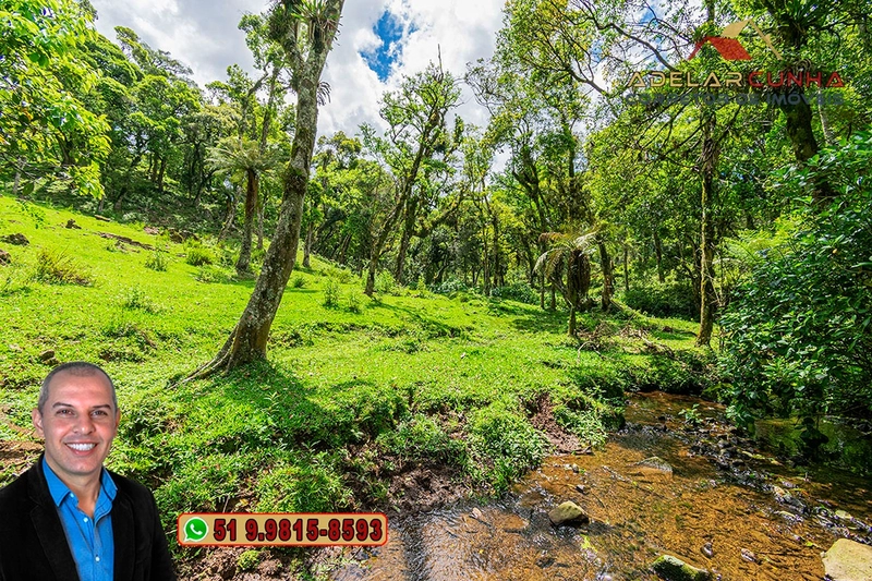 Chácara de 2 hectares à VENDA em São Francisco de Paula - RS: 25ª foto da galeria de imagens do imóvel