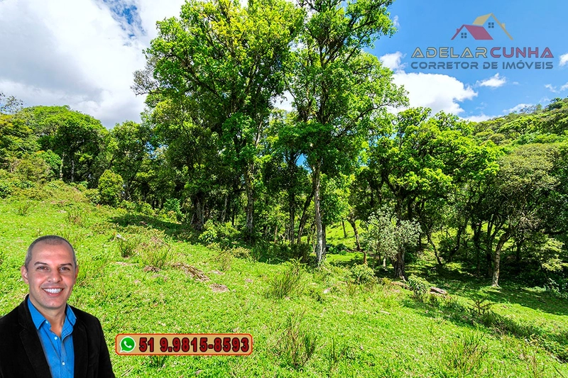 Chácara de 2 hectares à VENDA em São Francisco de Paula - RS: 39ª foto da galeria de imagens do imóvel