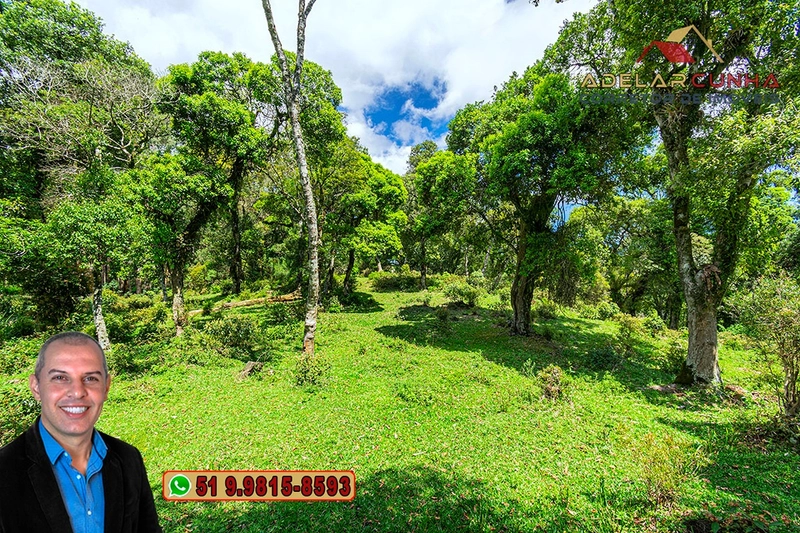 Chácara de 2 hectares à VENDA em São Francisco de Paula - RS: 32ª foto da galeria de imagens do imóvel