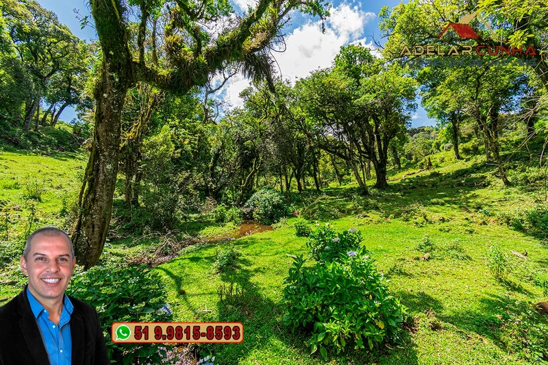 Chácara de 2 hectares à VENDA em São Francisco de Paula - RS: 10ª foto da galeria de imagens do imóvel