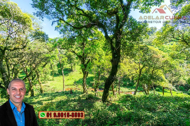 Chácara de 2 hectares à VENDA em São Francisco de Paula - RS: 65ª foto da galeria de imagens do imóvel