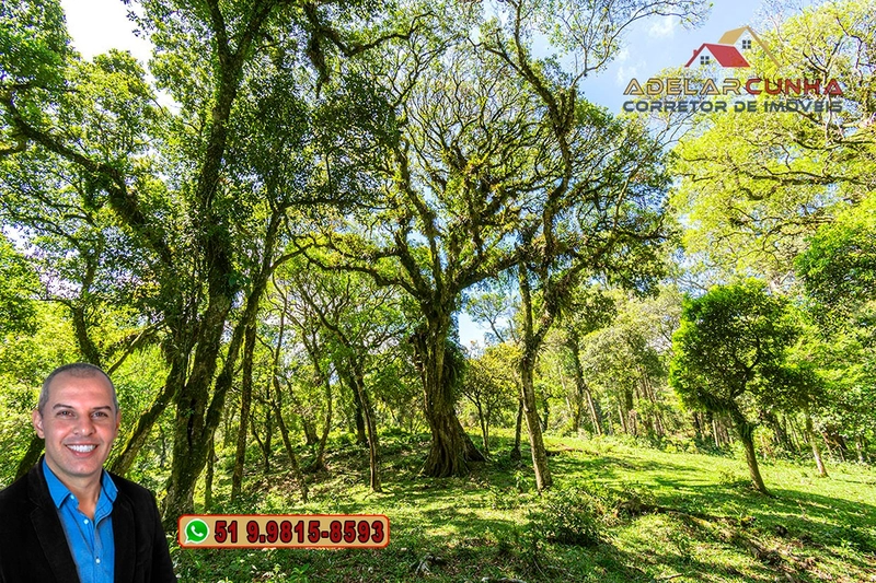 Chácara de 2 hectares à VENDA em São Francisco de Paula - RS: 7ª foto da galeria de imagens do imóvel