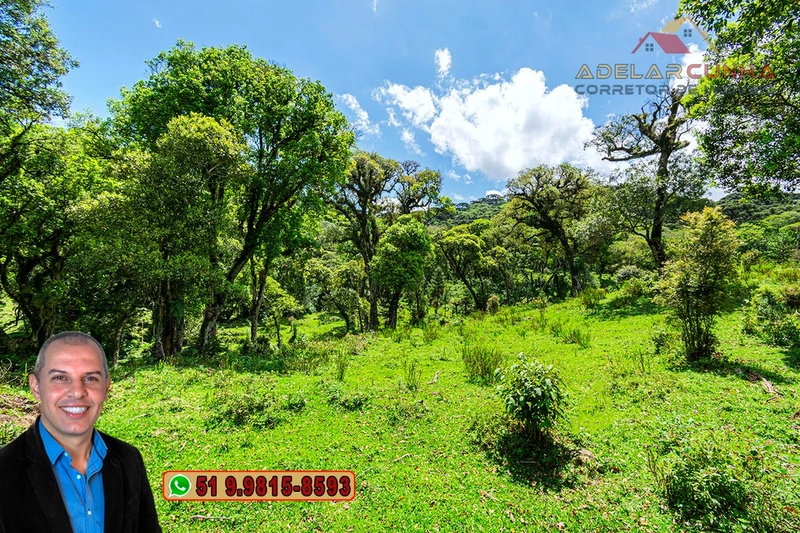 Chácara de 2 hectares à VENDA em São Francisco de Paula - RS: 55ª foto da galeria de imagens do imóvel