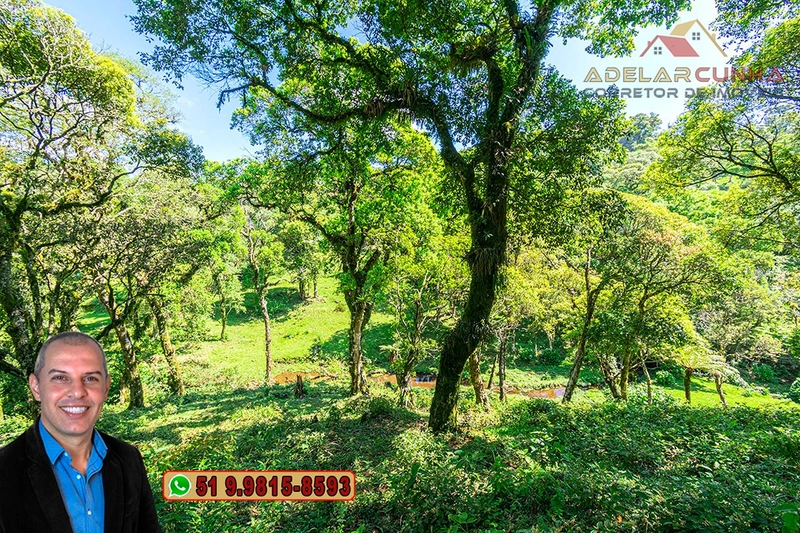 Chácara de 2 hectares à VENDA em São Francisco de Paula - RS: 52ª foto da galeria de imagens do imóvel