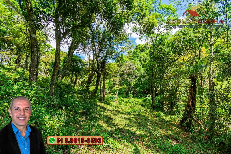 Chácara de 2 hectares à VENDA em São Francisco de Paula - RS: 60ª foto da galeria de imagens do imóvel