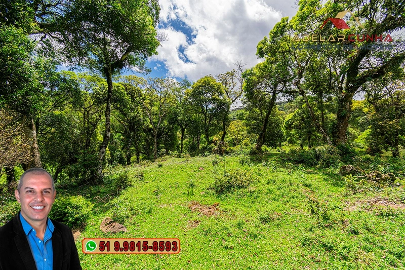 Chácara de 2 hectares à VENDA em São Francisco de Paula - RS: 22ª foto da galeria de imagens do imóvel