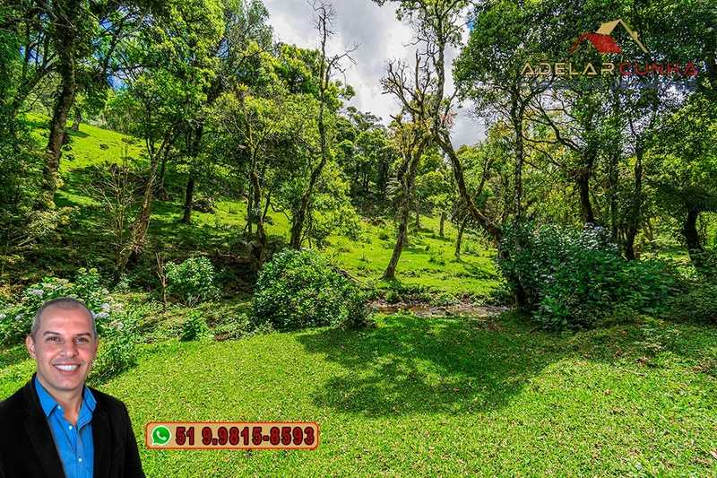 Chácara de 2 hectares à VENDA em São Francisco de Paula - RS: 24ª foto da galeria de imagens do imóvel