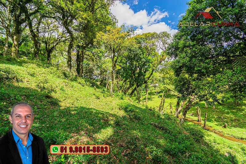 Chácara de 2 hectares à VENDA em São Francisco de Paula - RS: 19ª foto da galeria de imagens do imóvel
